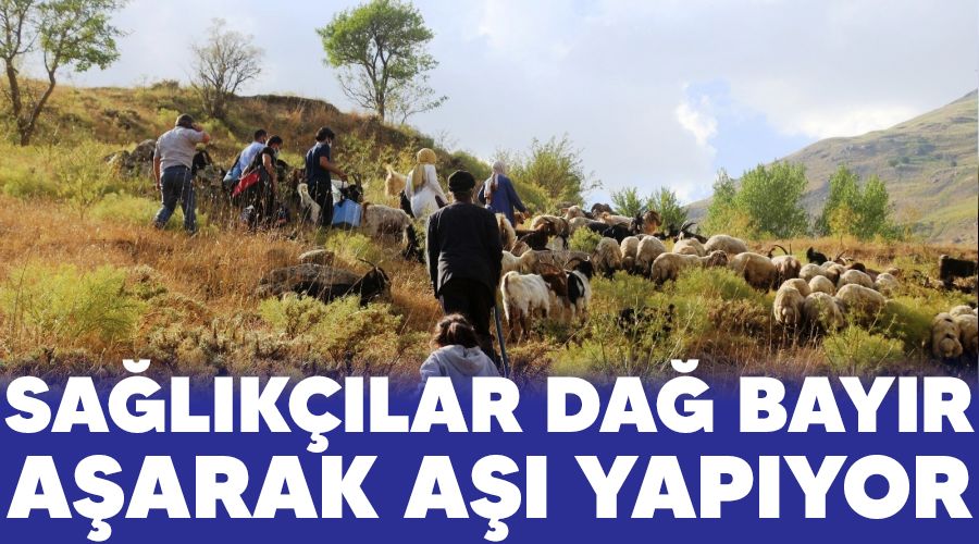 Sa�l�k��lar da� bay�r a�arak a�� yap�yor