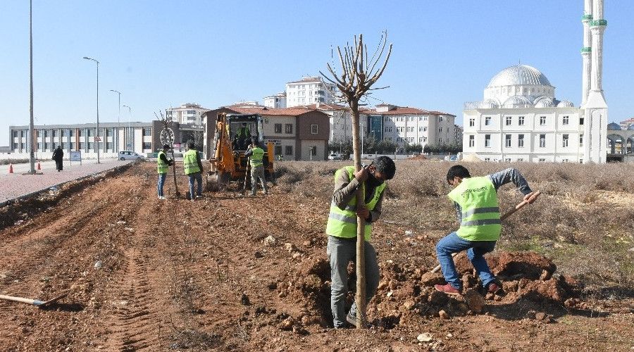 Şahinbey'e 4 milyon 215 bin ağaç dikildi