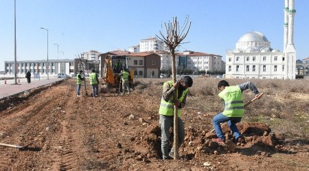 Şahinbey'e 4 milyon 215 bin ağaç dikildi