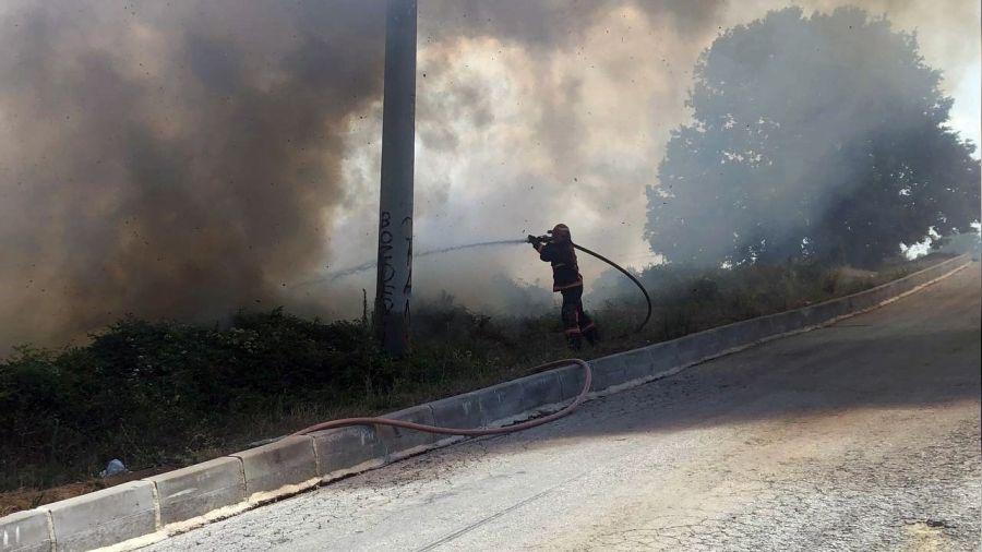 Sakarya'da ormanlık alanda yangın