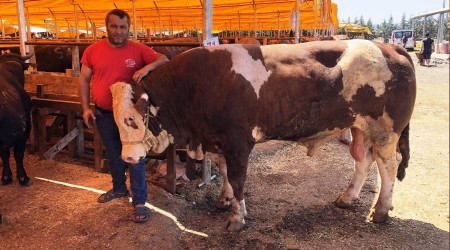 'Şampiyon' alıcısını bekliyor