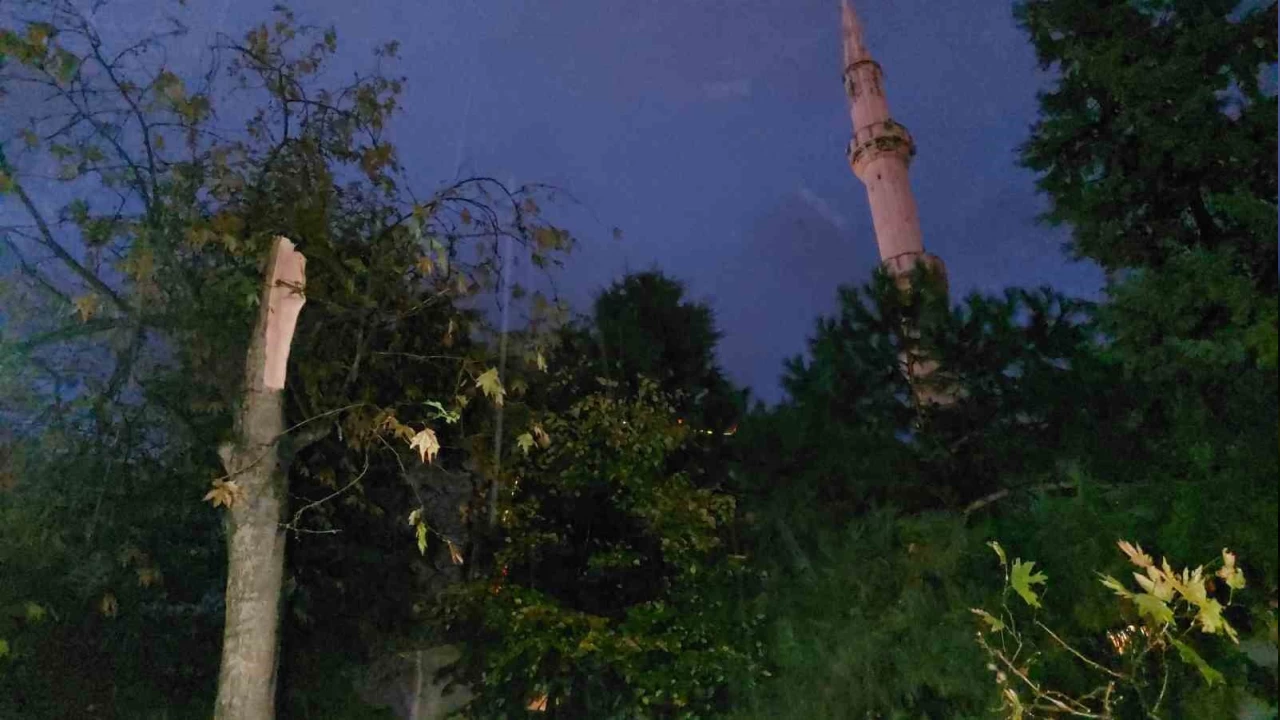 Samsun'da cami avlusundaki a�a� f�rt�nada ikiye ayr�ld�