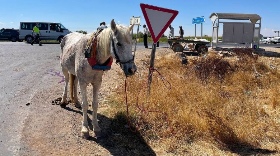 �anl�urfa'da ilgin� kaza