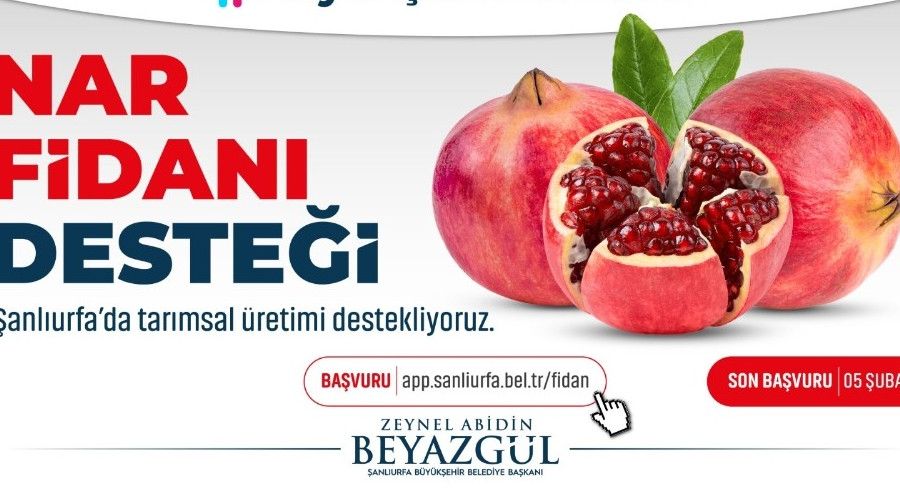 �anl�urfa'da �reticiye nar deste�i