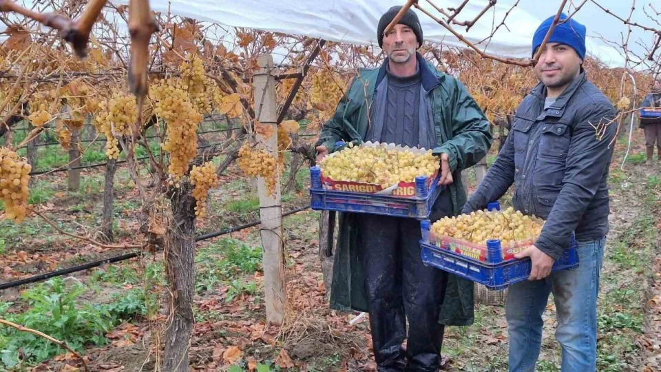 Sar�g�l'de �z�m hasad�nda sona gelindi