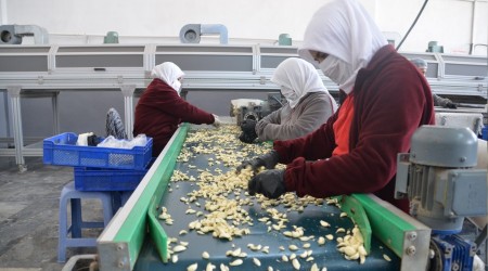 Sarımsak fiyatlarında son 50 yılın rekoru
