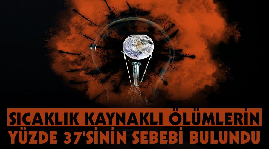 S�cakl�k kaynakl� �l�mlerin y�zde 37'sinin sebebi bulundu