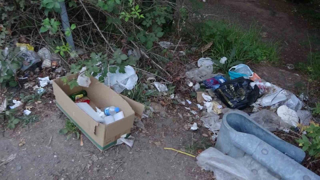 �ile ormanlar�nda �evre kirlili�i alarm�