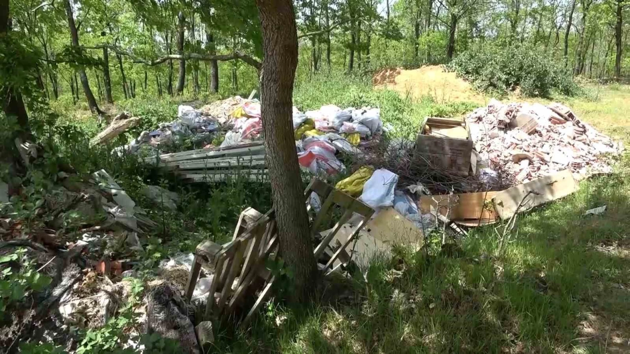 Şile'de ormanlar çöple doldu
