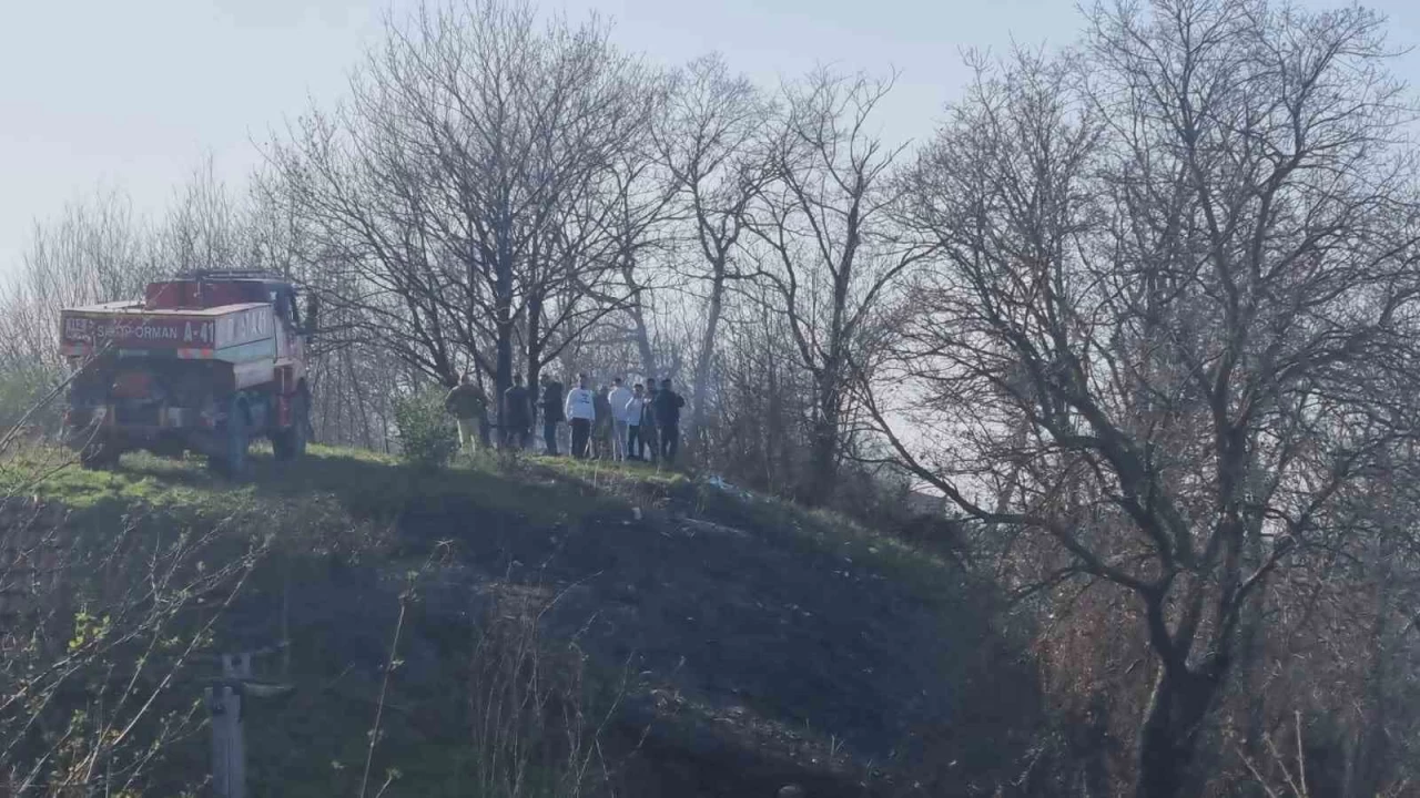 Sinop'ta orman yangını