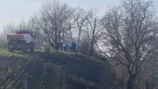 Sinop'ta orman yangını