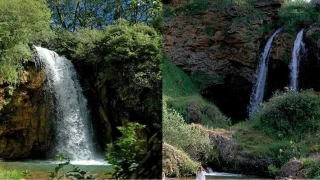 Srakayalar elaleleri: Her mevsim farkl bir gzellie sahip