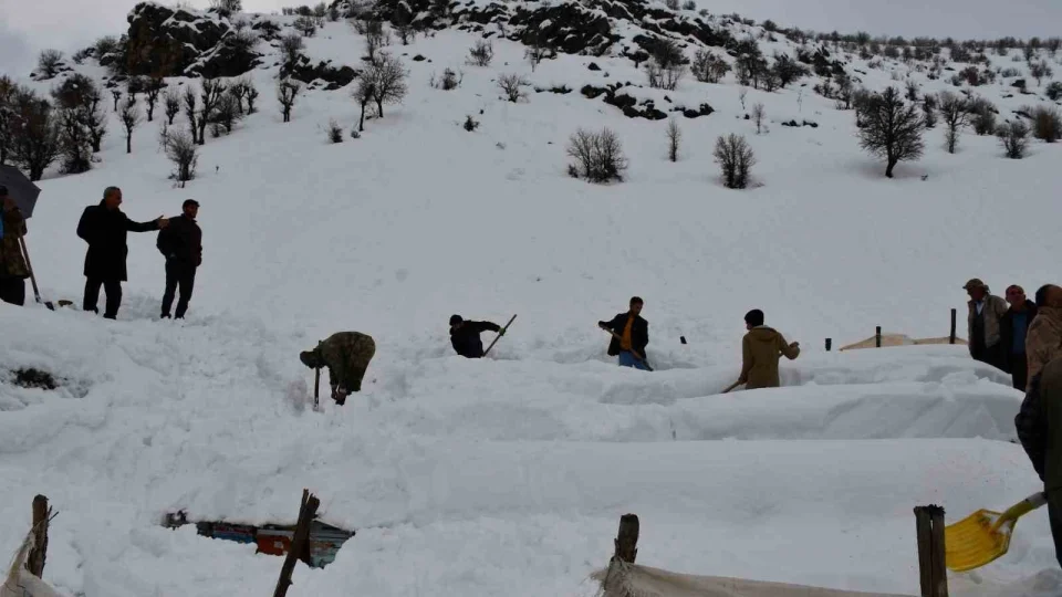 ��rnak'ta bal ar�lar� ��� alt�nda kald�