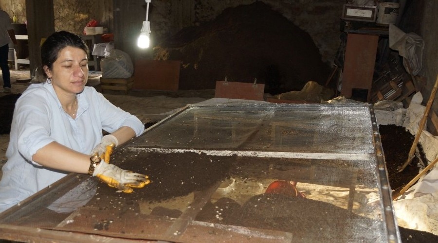 Solucan g�bresi ge�im kayna�� oldu