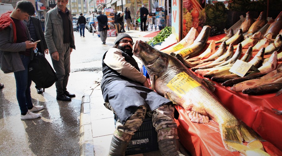 Son 20 y�l�n en b�y���