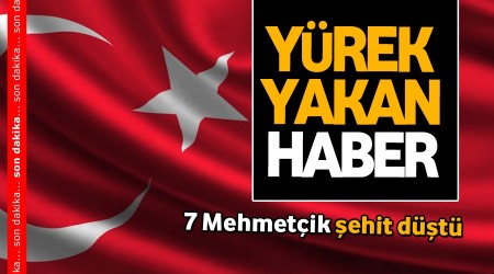 Son dakika... 7 Mehmetçik şehit düştü