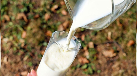 Süt üretiminde kriz tam gaz