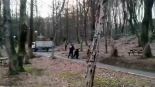 Tabiat Parkını tepeden tırnağa soydular