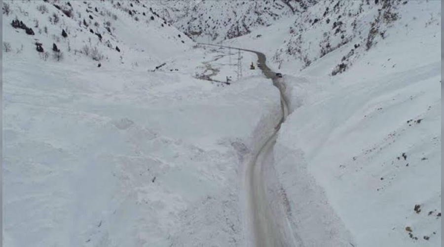 Tahran'da çığ altına kalan 2 kişi hayatını kaybetti