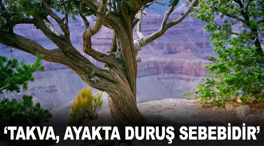 Takva, ayakta duru sebebidir