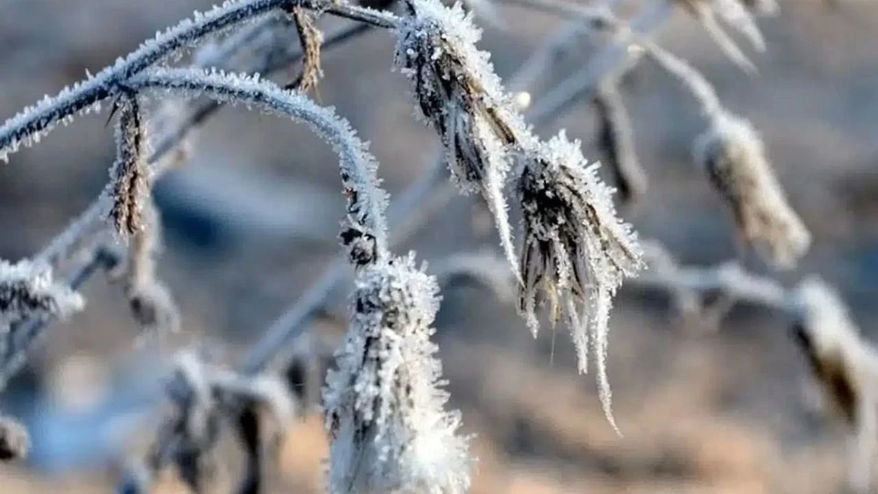 Tarım sektöründe alarm zilleri çalıyor