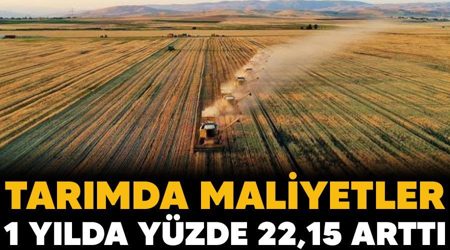 Tar�mda maliyetler 1 y�lda y�zde 22,15 artt�