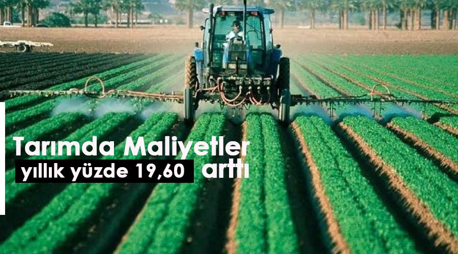 Tarımda maliyetler yıllık yüzde 19,60 arttı