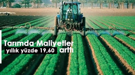 Tarımda maliyetler yıllık yüzde 19,60 arttı