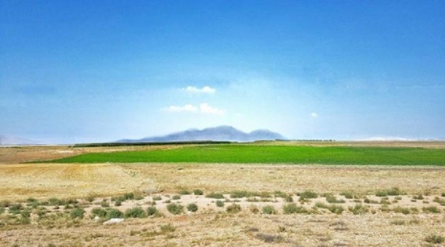 TARIMKON Başkanı acı gerçeği açıkladı
