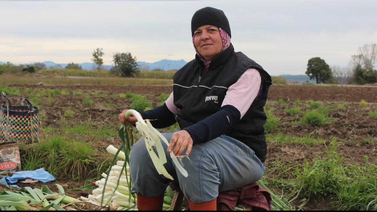  Tarlada harcanan emek kar��l�ks�z kal�yor