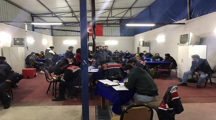 Tavuk çiftliğinde kumara oturmuşlar