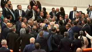 TBMM Genel Kurulu'nda 'sahipsiz köpek' kavgası