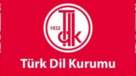 TDK sözlüğünde 'Engelli' sözcüğünün tanımı değişti