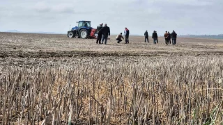 Tekirda'da anza ekim dnemi: Trkiye'ye rnek olacak