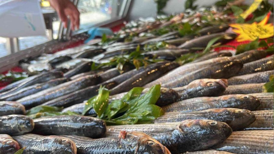 Tezgahlarda l�fer ve �inekop bollu�u