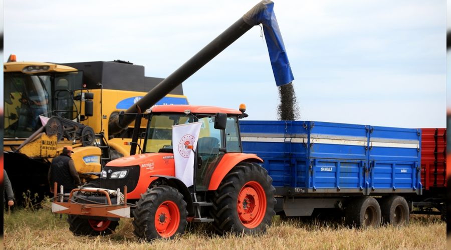 Trakya'da ayçiçeğinde hüsran yılı