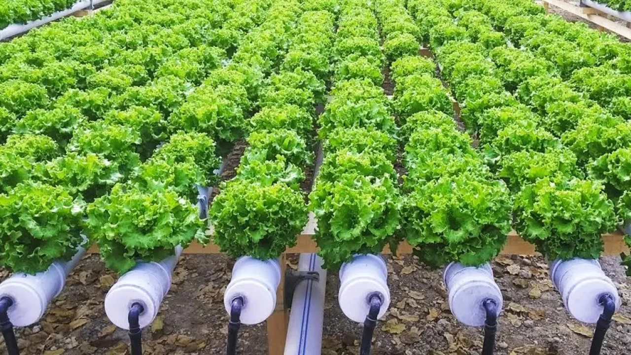 Turizmin bakenti Mula, tarmda da liderlie oynuyor