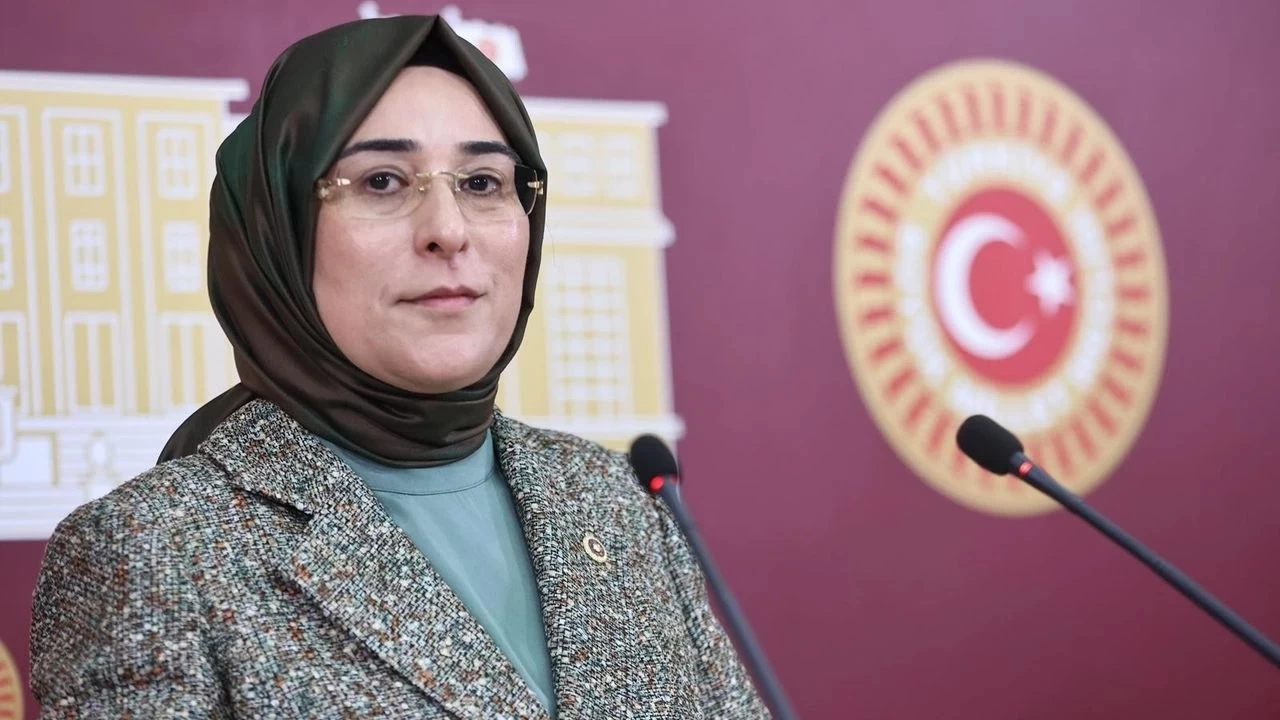 'Türkiye ateş çemberinin ortasında dimdik ayakta'