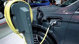 T�rkiye, Avrupa'da en b�y�k d�rd�nc� pazar oldu