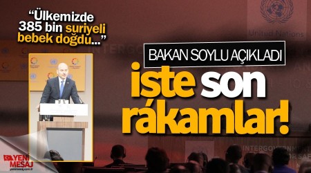 'Türkiye'de 385 bin Suriyeli bebek doğdu'