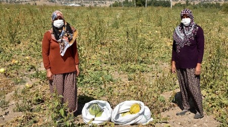 Üretici kadınlar emeklerini kazanca çeviriyor