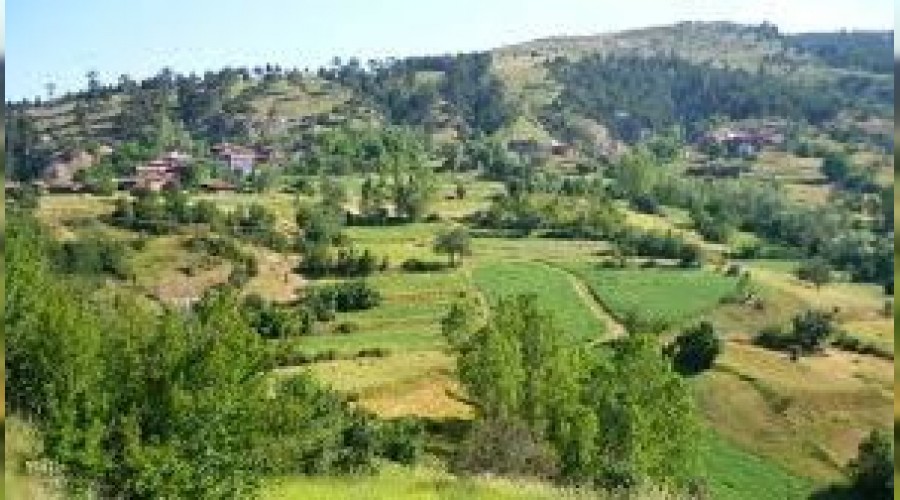 Vakaların arttığı köy karantinaya alındı