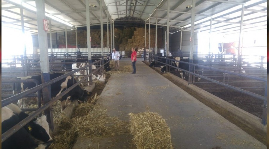 Yang�ndan tahliye edilen hayvanlar i�in yem deste�i