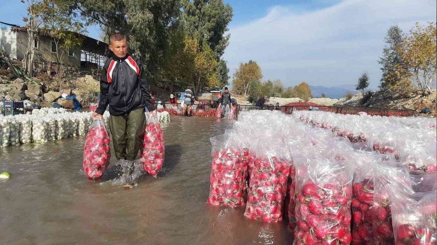 Yar�m metre suda ekmek m�cadelesi