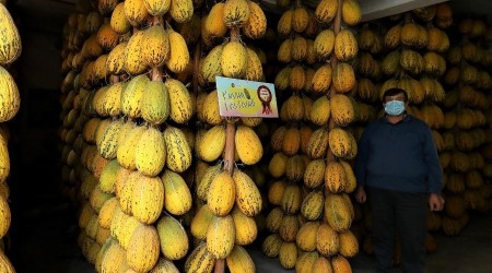 Yazlık kavunlar kışlık sofraları süslüyor