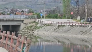 Yeşilırmak Nehri'nde balık ölümleri incelemeye alındı
