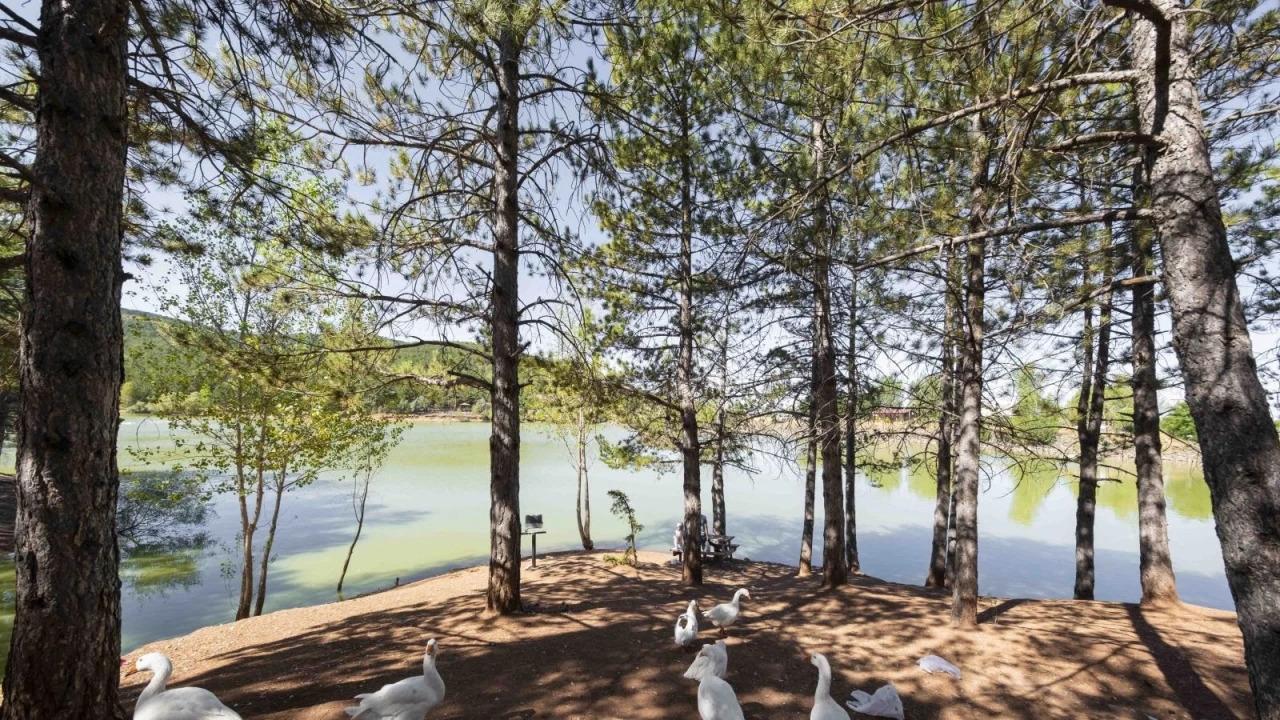 Yozgat �aml��� Milli Park�: T�rkiye�nin ilk milli park�