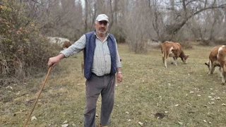 Yozgat'ta kuraklk endiesi sryor