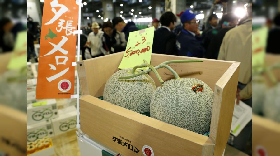 Yubari kavunlar� rekor fiyata sat�ld�