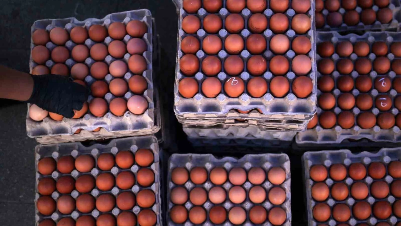 Yum-Bir: Ramazana yönelik elimizde ihtiyaçtan fazla yumurta var